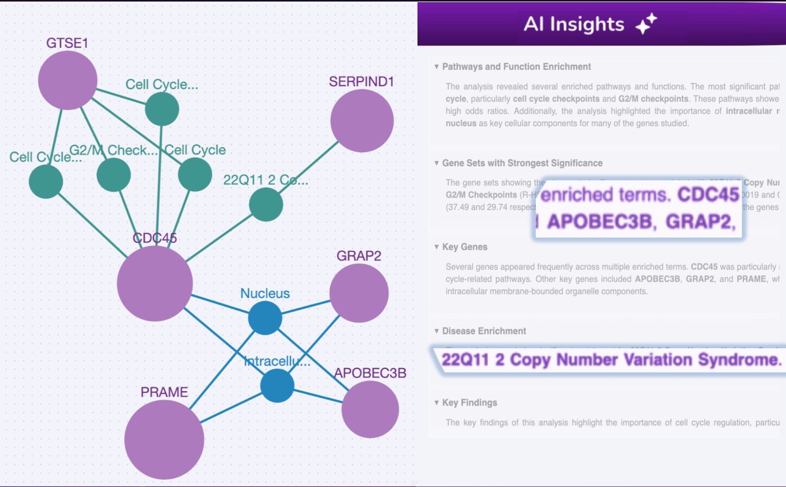 Precision insights from Quark's Knowledge Graph highlighting enriched terms and disease enrichment