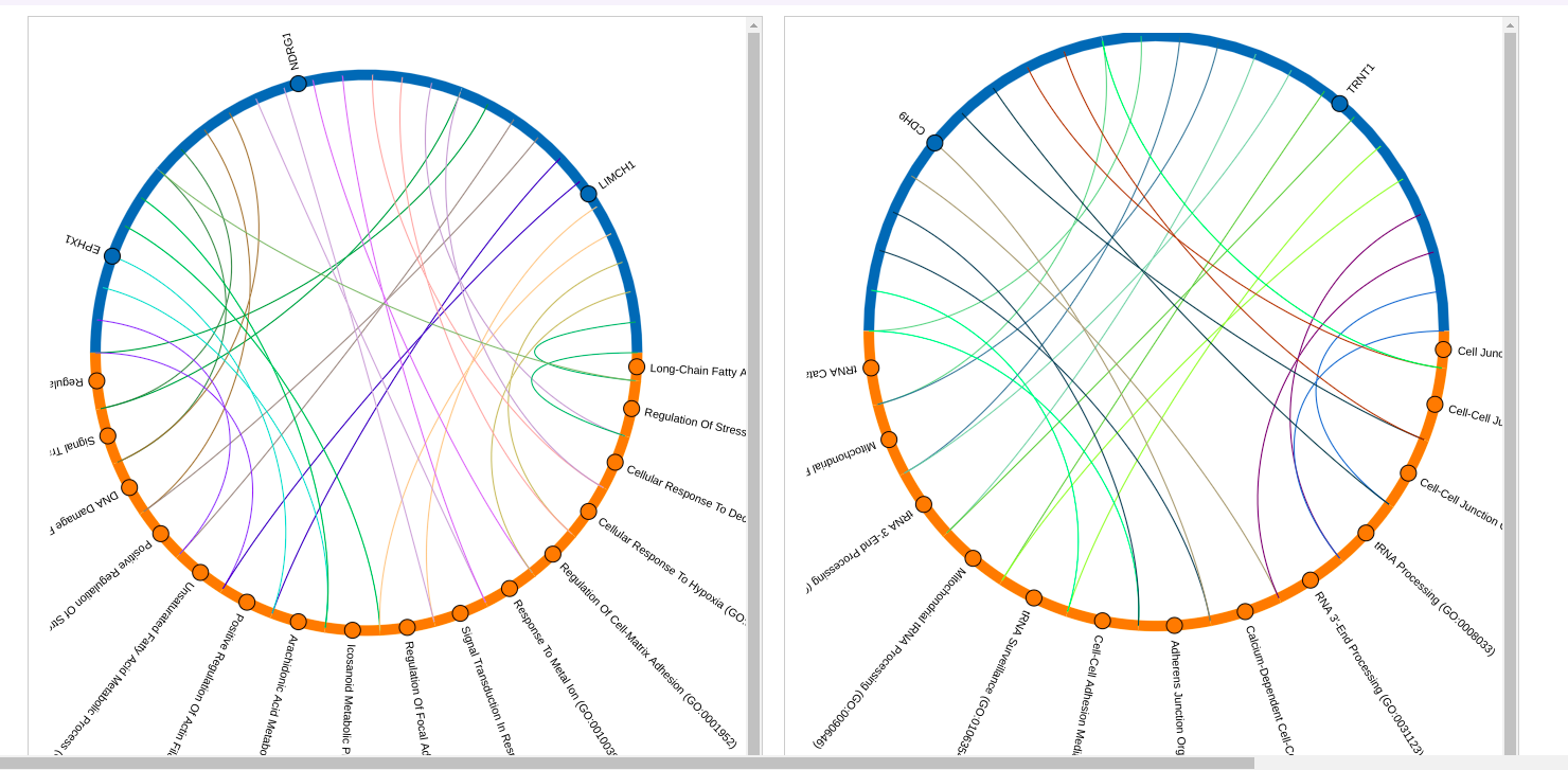 A circular network diagram showing connections between various biological processes and regulatory mechanisms related to cytosine methylation.